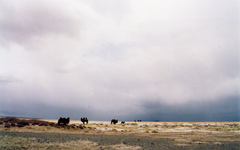 Mongolie
